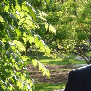 Meet your Posher, Elisa